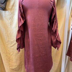 Zara Mauve Long Sleeve Dress with Ruffle Sleeves